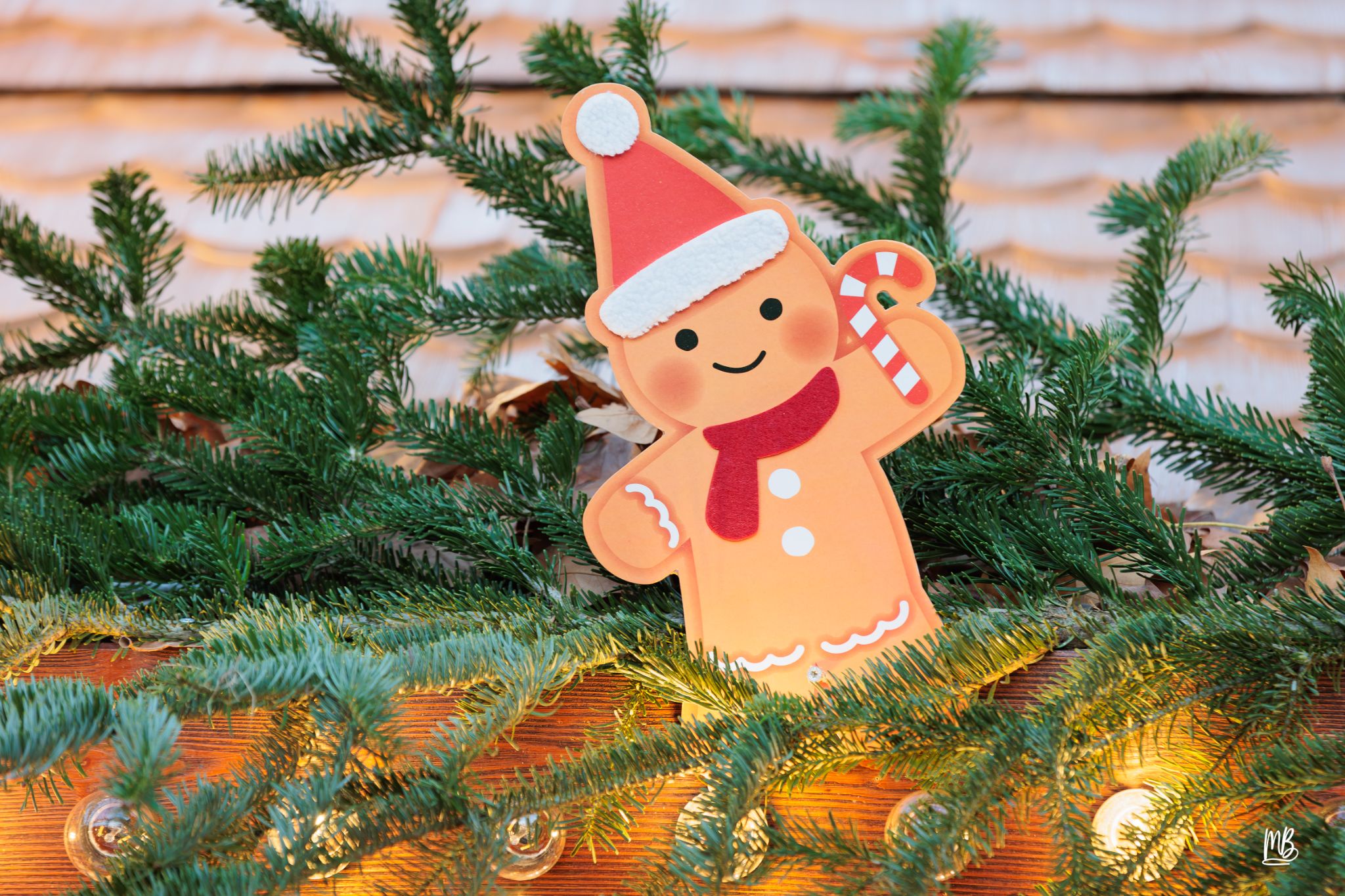 20241129 Noël à Haguenau MB (31 sur 114)